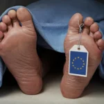 Europa wymiera. Co będzie z Polską?
