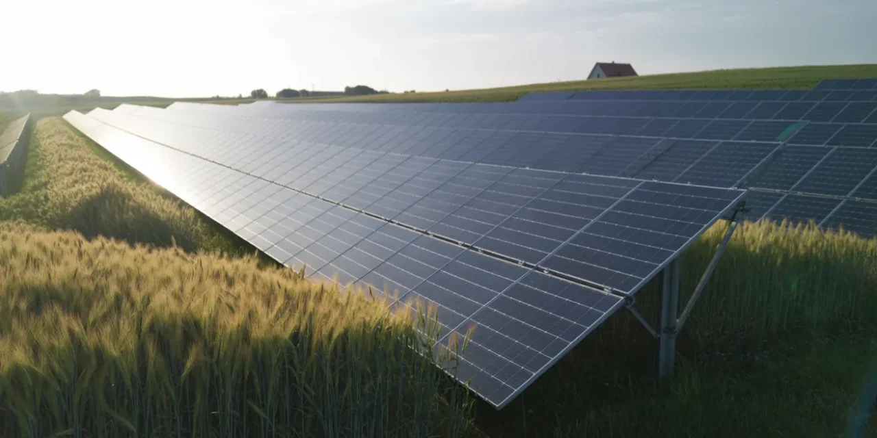 Zielony Ład. Trybunał Konstytucyjny o polskiej suwerenności energetycznej