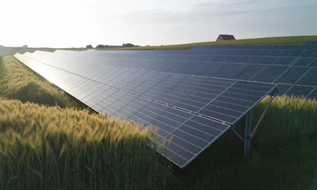 Zielony Ład. Trybunał Konstytucyjny o polskiej suwerenności energetycznej