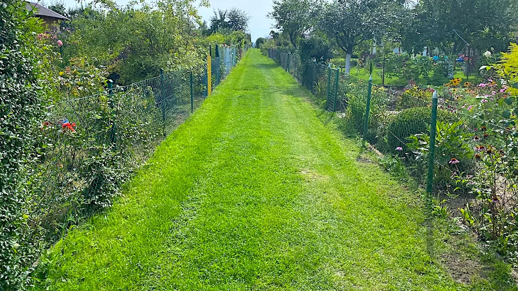 Krzysztof Kotowicz: Czerwony dywan czy zielona ścieżka?