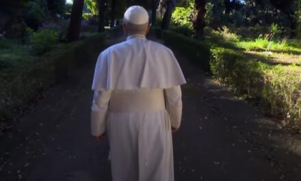 Papież Leon XIV: wrześniowa intencja modlitewna o więź człowieka ze stworzeniem