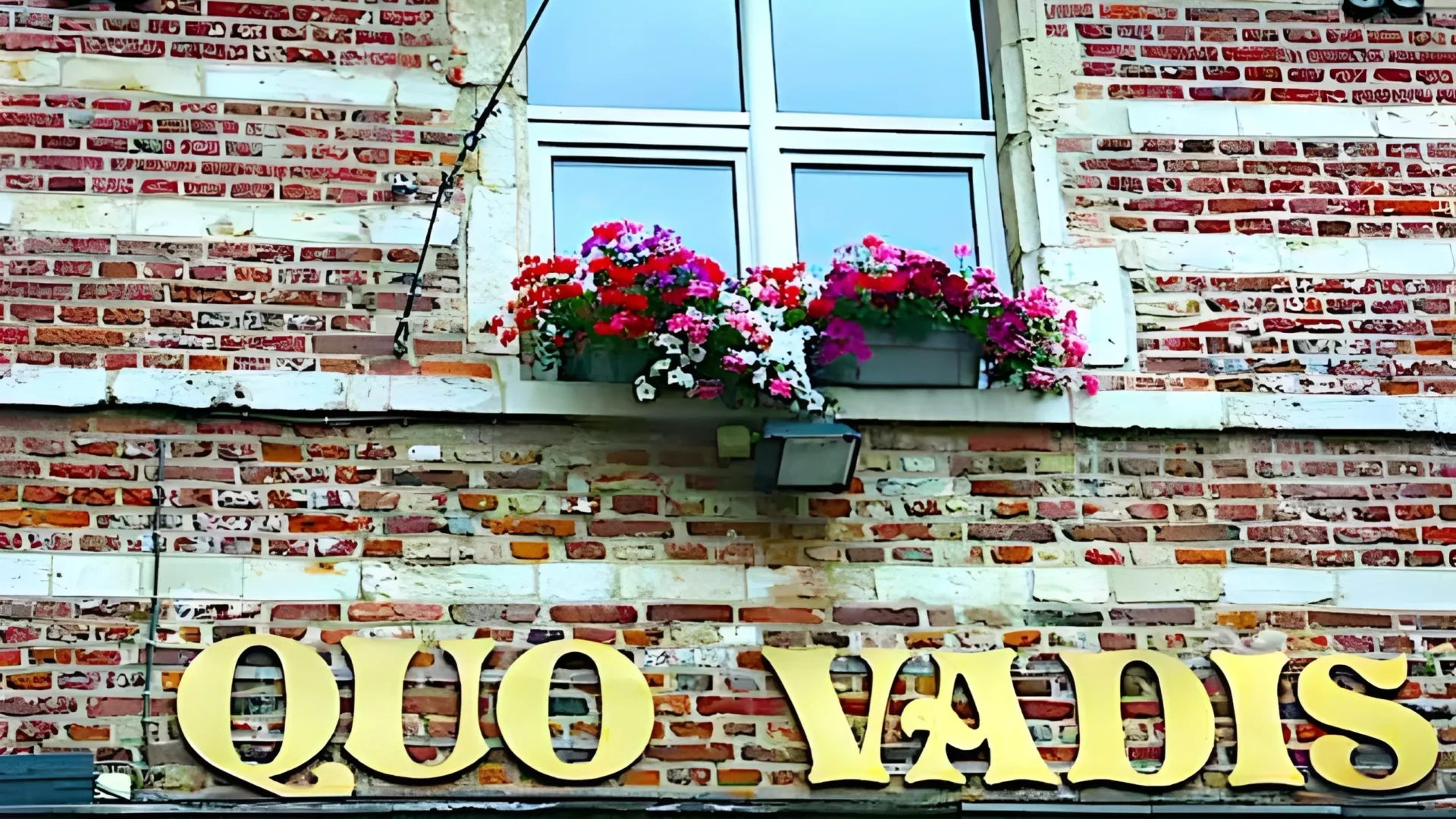 Quo Vadis Krzysztof Kotowicz