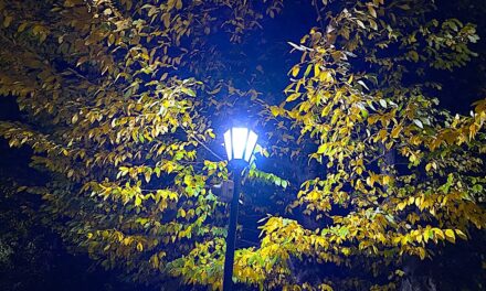 Krzysztof Kotowicz: Światło dla wszystkich którzy są w domu