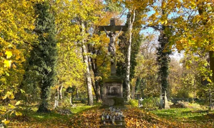 Krzysztof Kotowicz: Wyrwał nas z mocy Szatana – jeśli wierzysz, nie wracaj tam!