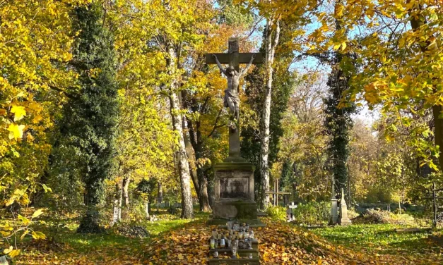 Krzysztof Kotowicz: Wyrwał nas z mocy Szatana – jeśli wierzysz, nie wracaj tam!