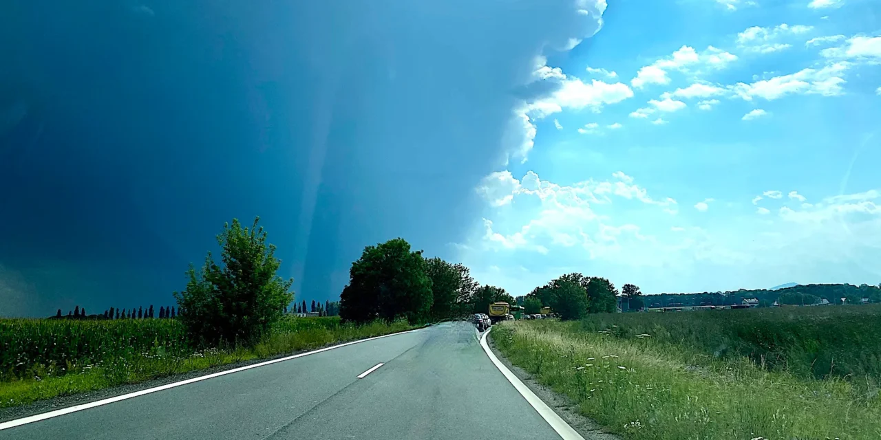 Krzysztof Kotowicz: Potrzebujemy jasnej przyszłości