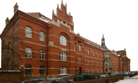 Światowy Dzień Chorego: jak Kościół leczy nie tylko ducha? Liczby, placówki, ludzie