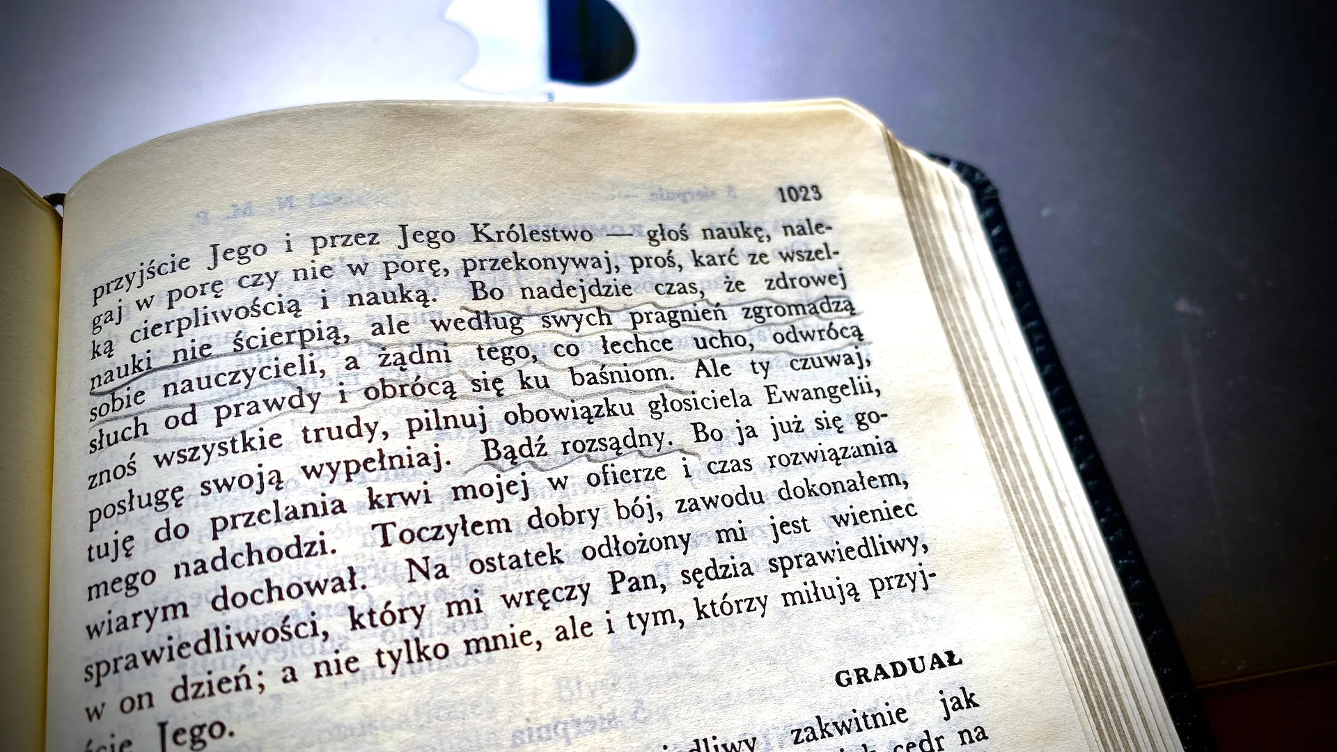 Krzysztof Kotowicz Zmienią nam język